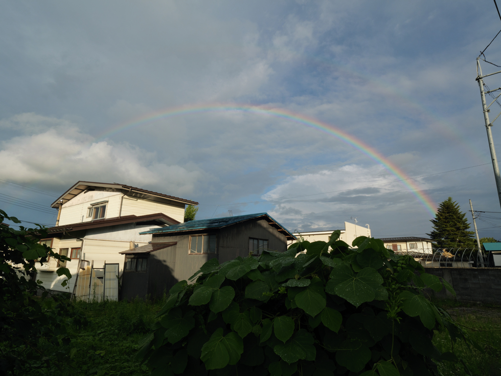 虹が出たよ