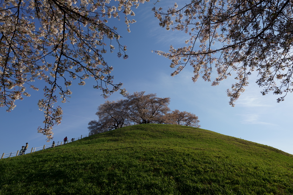 実験画像2　SIGMA20mmF1.4-F8