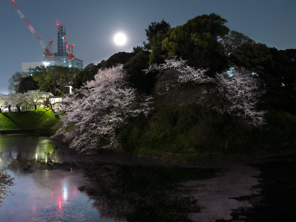 月明かりの晩に