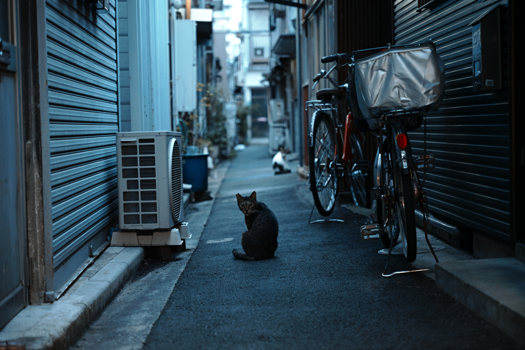 三ノ輪橋マスター