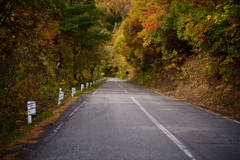 鮮やか道路