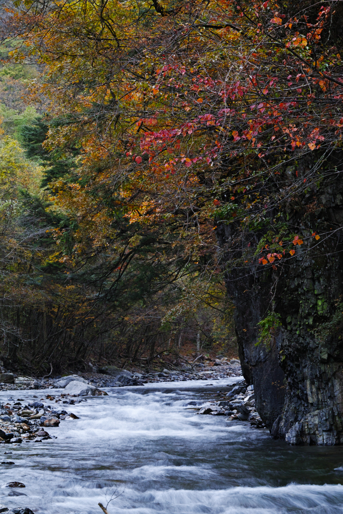 岩の彩（SIGMA）