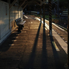 斜光場