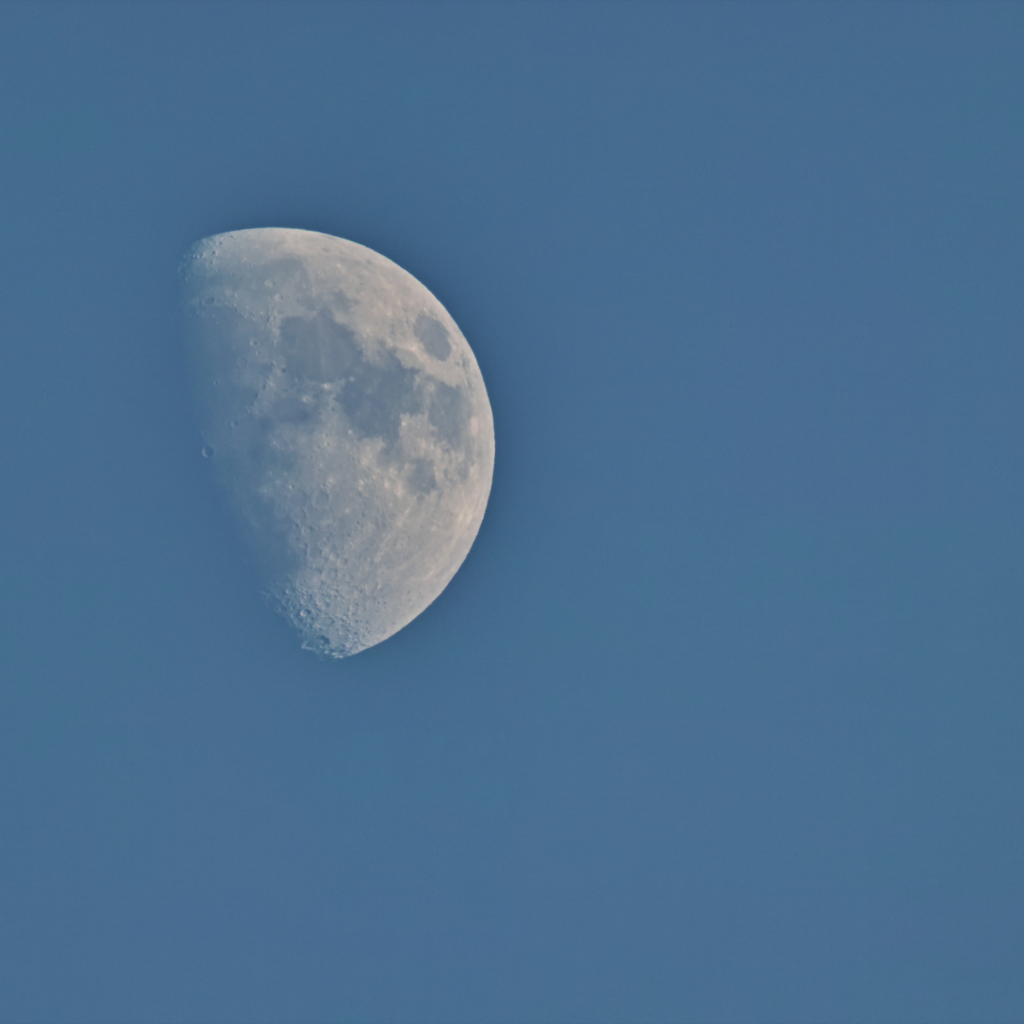 夕月