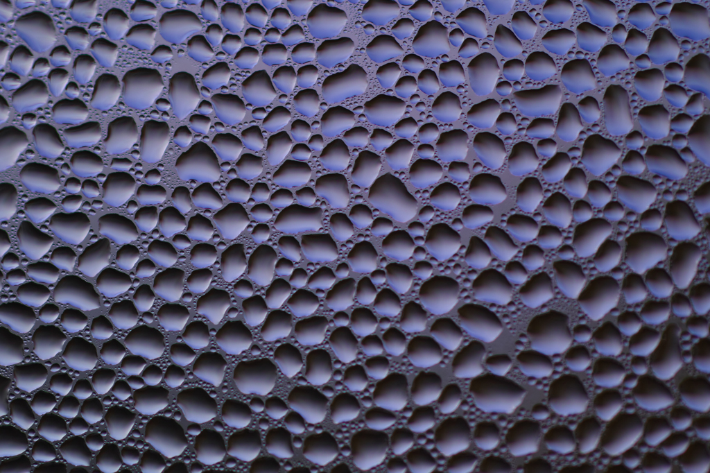 綺麗と見るか不気味と見るか