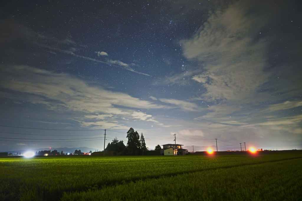 青田に星降る