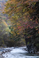 岩の彩（PANA)