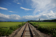 青田を走る