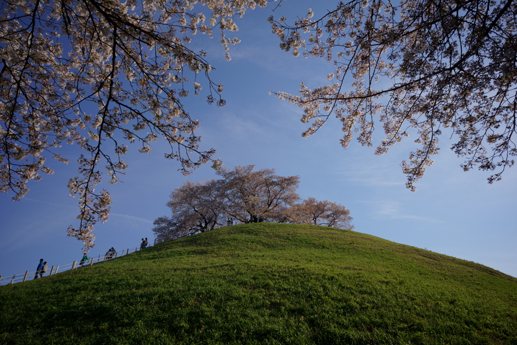 実験画像2　TokinaFiRIN20mmF2-F8