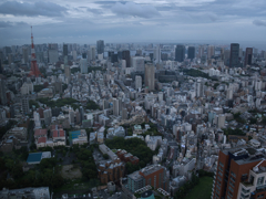 東京タワーより高く