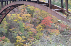 紅葉