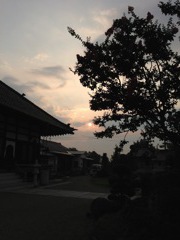 IMG_0362_062