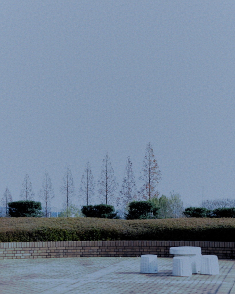 a raw morning Ⅳ