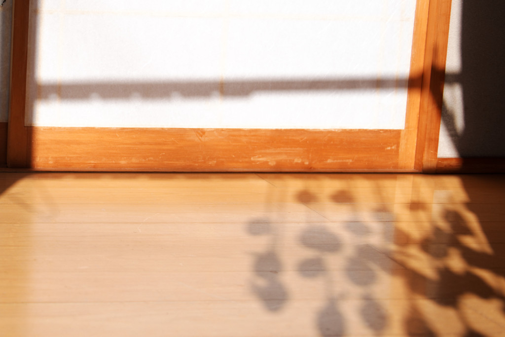 warm winter dayⅠ