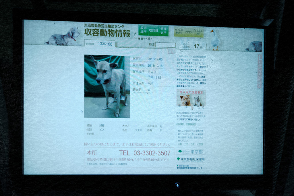 thousands barks of sorrow Ⅱ