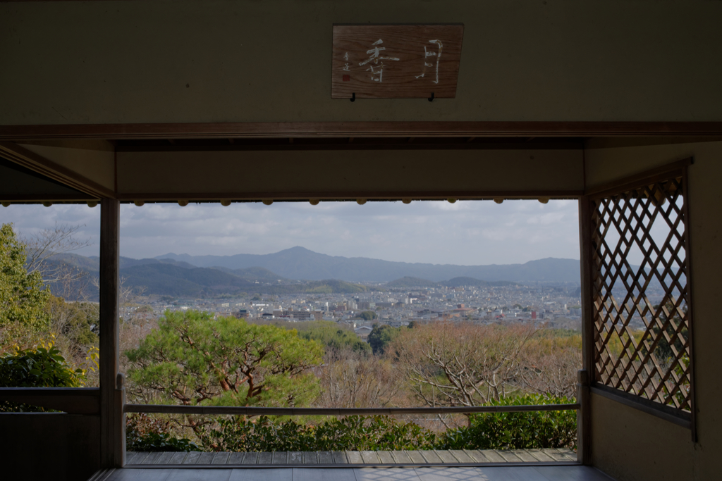Ookouchisansou Ⅶ