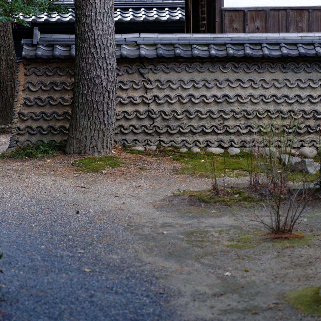 Meiji　ⅩⅥ