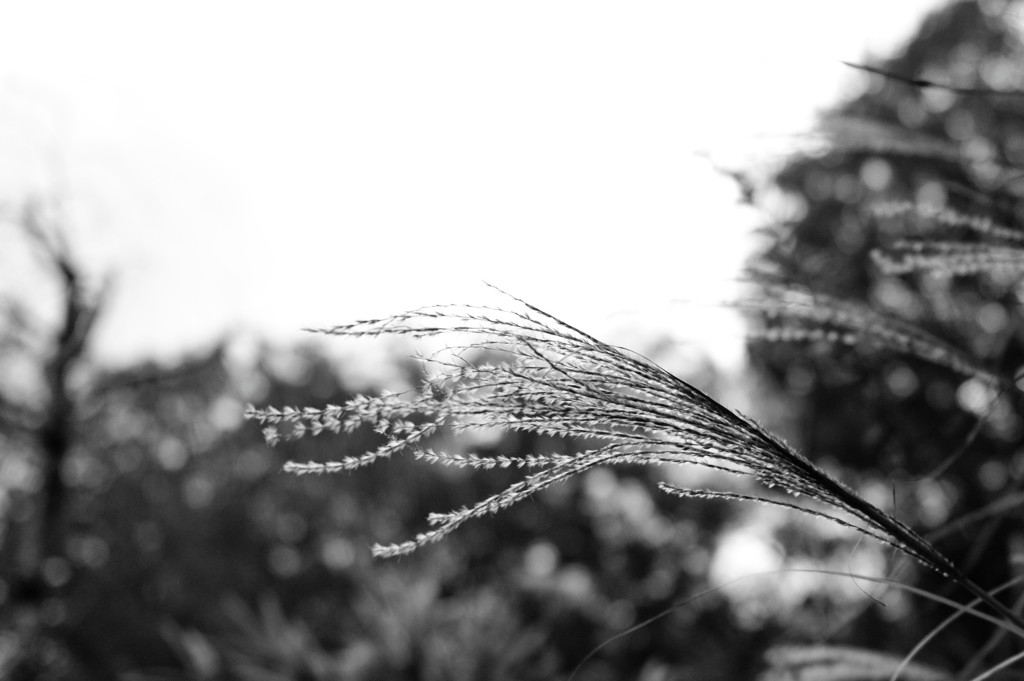 quietness