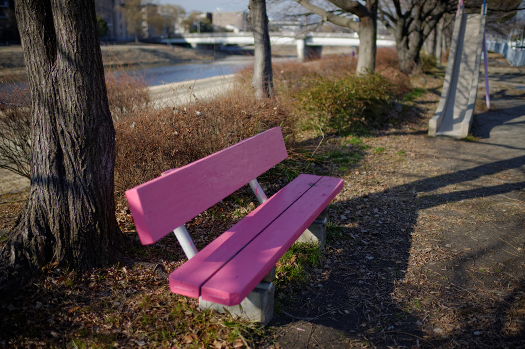 bench for an old man Ⅹ