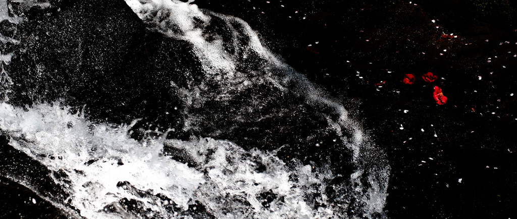 splash !