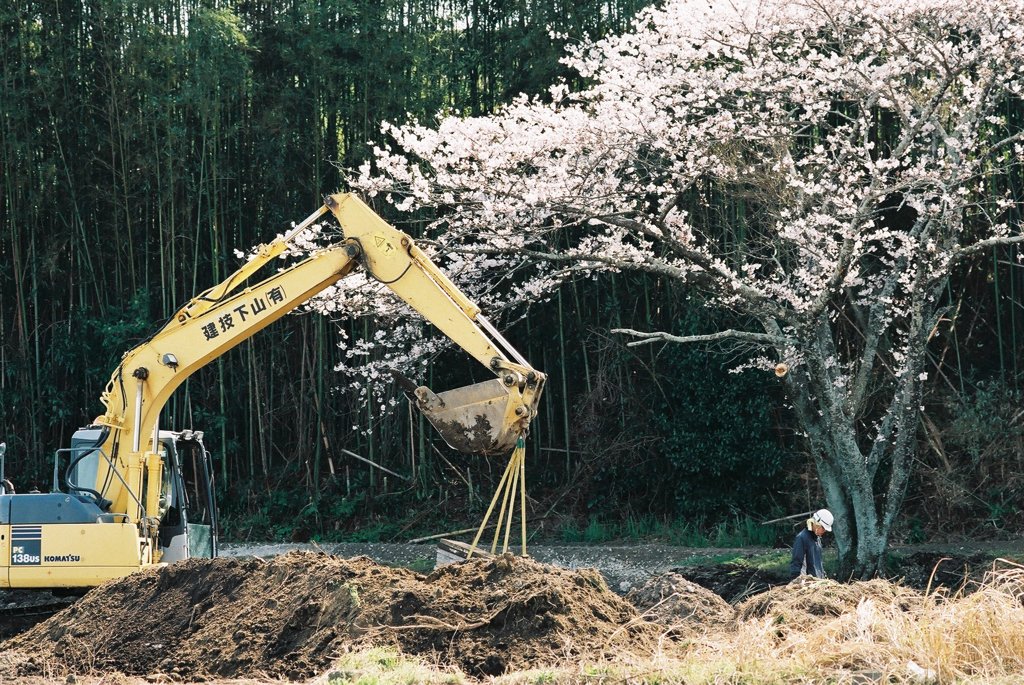 work under  blossom Ⅰ