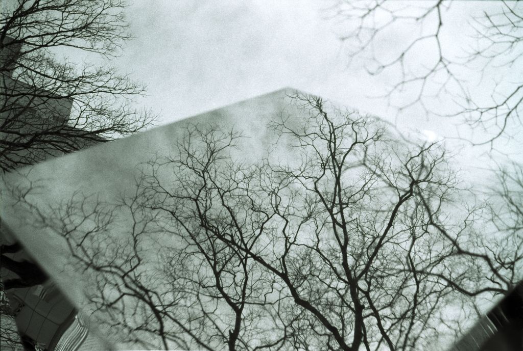 the ｓｋｙ