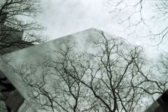 the ｓｋｙ