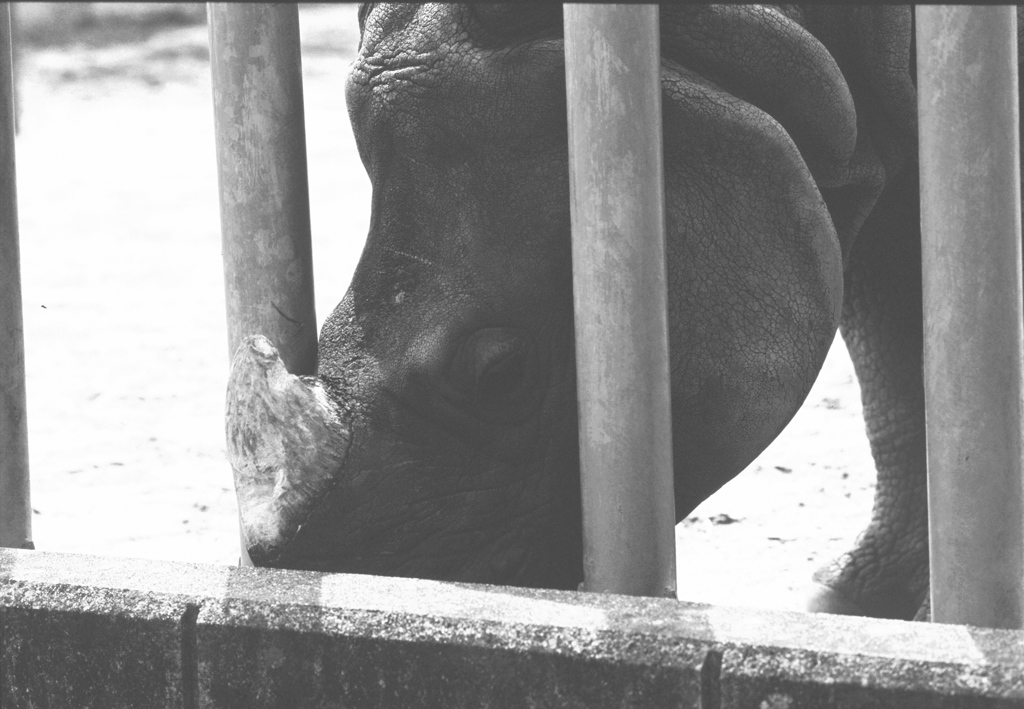 zoo Ⅲ