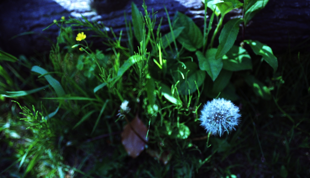 roadside Ⅰ