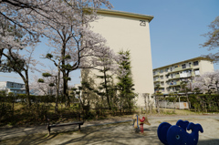 apartment Ⅴ