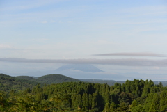 DSC_1884