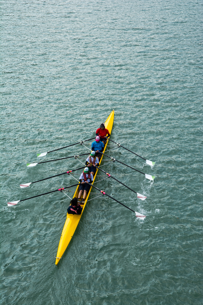 Coxed four