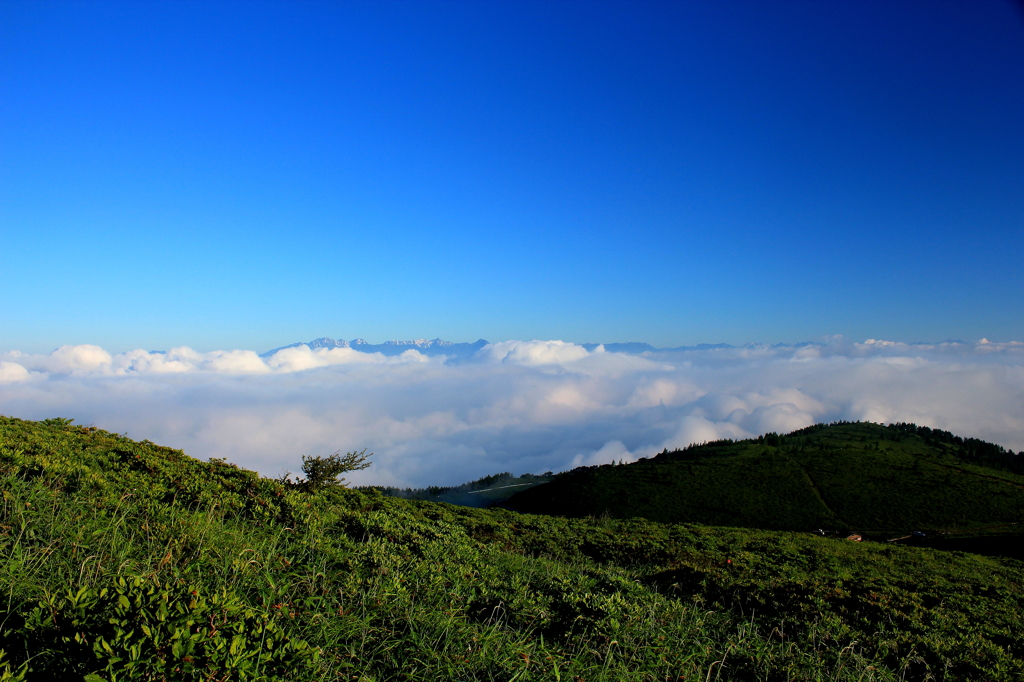 鉢伏山の頂より