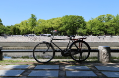 木陰の自転車