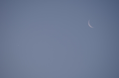 月と金星