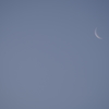 月と金星