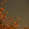 桜とオリオン座