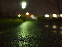 雨の道