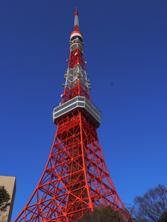 横から見ると。
