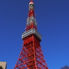 横から見ると。