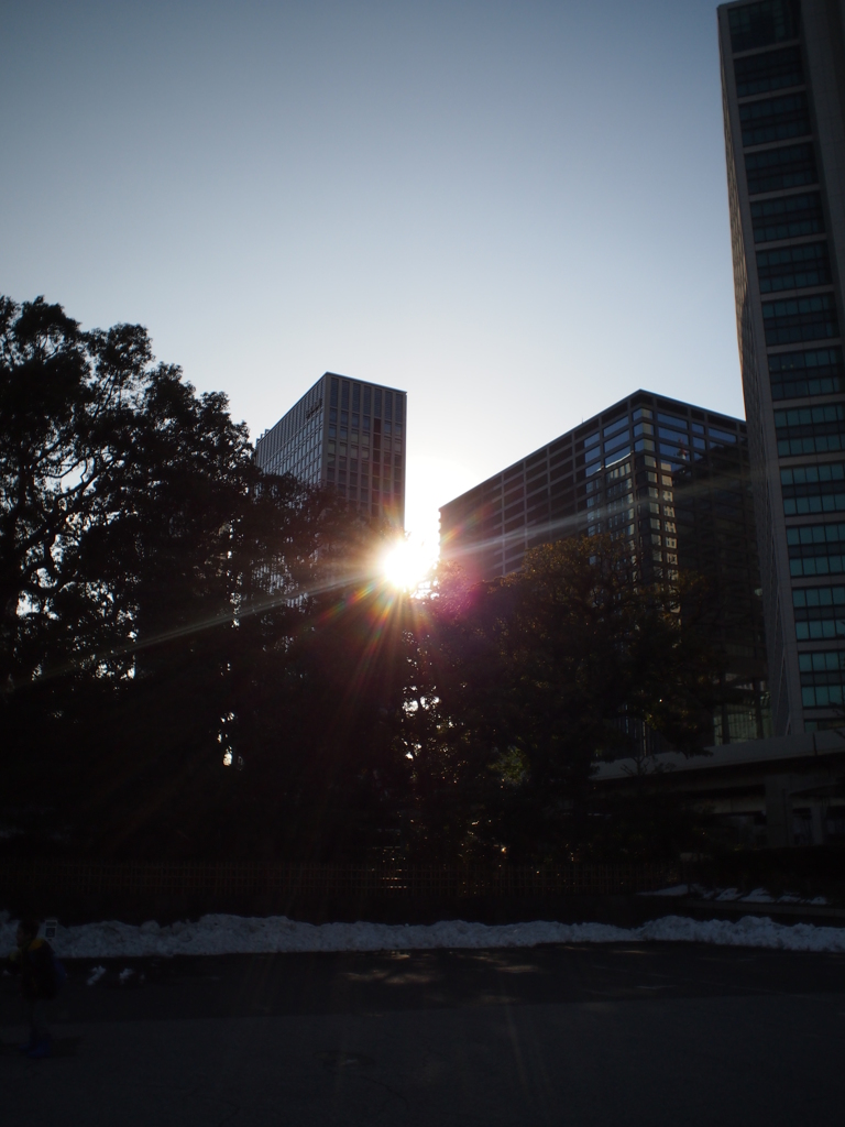 夕日