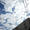 青空に広がる雲
