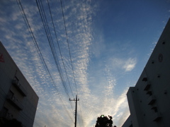 雲の尾