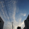 雲の尾