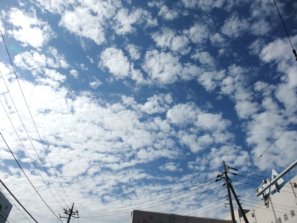 空に散る雲