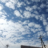 空に散る雲
