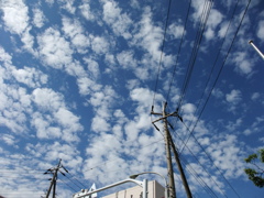 雲の子を散らした様に