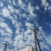 雲の子を散らした様に