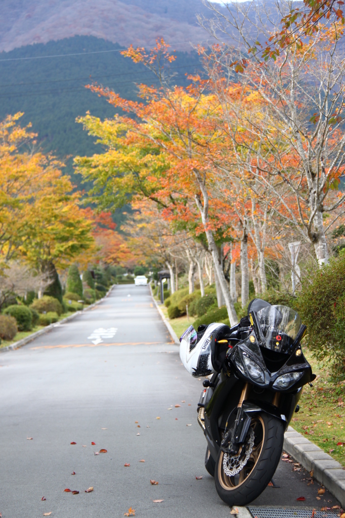 愛車と紅葉