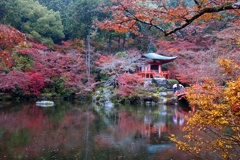 雨の醍醐寺